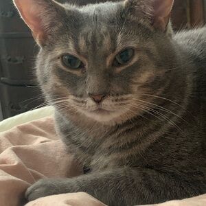 Meet your Posher, Julisa